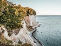 Die Insel